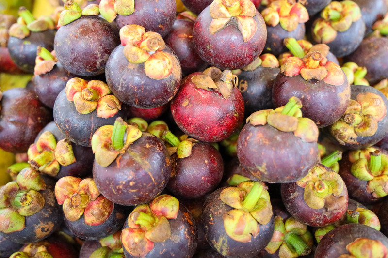 斯里兰卡旅游攻略必去景点,斯里兰卡最佳旅游攻略