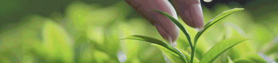 临沂市莒南县新闻,2021年八月莒南县新闻