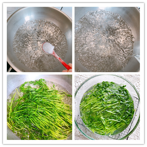 春天第一鲜芽菜是什么菜,春吃芽指的是什么