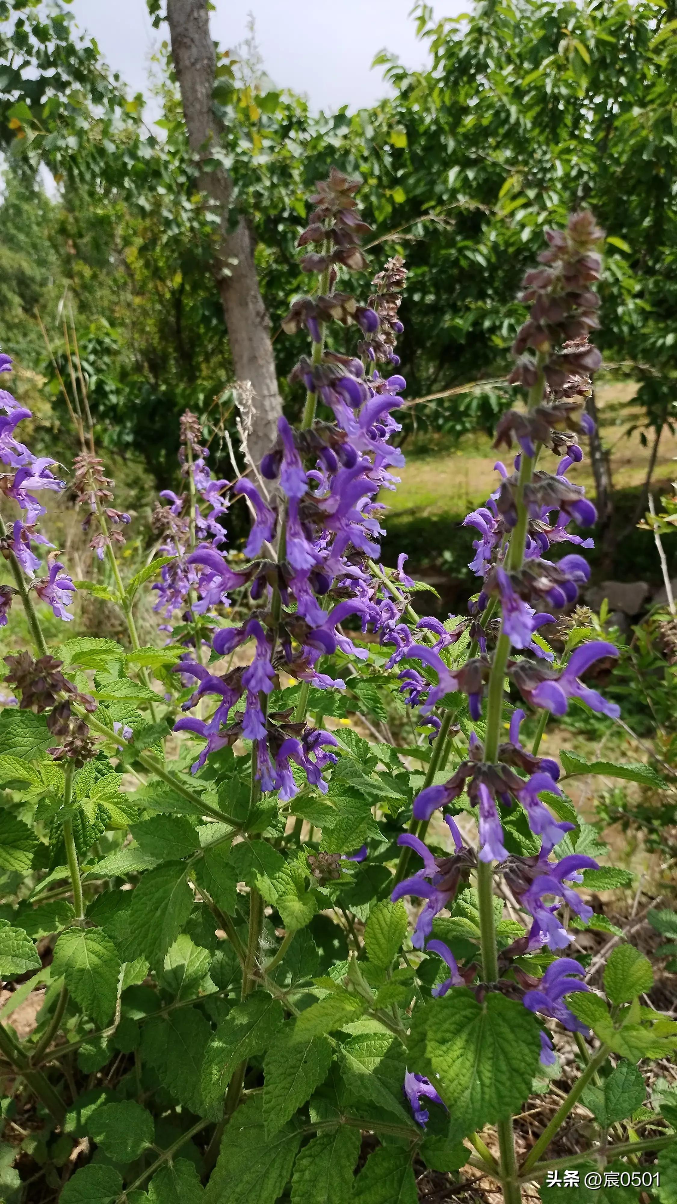 侄子生病她去探望，一瓶八块钱的矿泉水让她泪目：爸一顿饭才一块