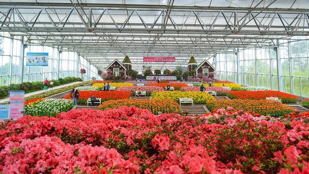 花卡特惠,新春钜惠不容错过