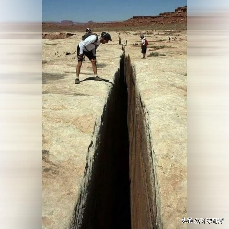 自然界中的庞然大物,自然界奇形怪状的东西