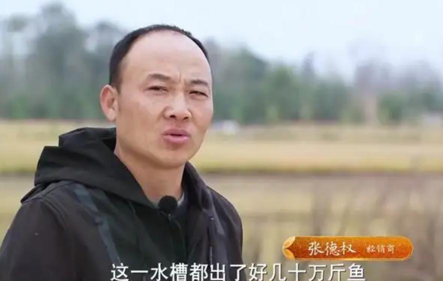 水库养鱼一年收入1000万,30亩养鱼塘一年收入