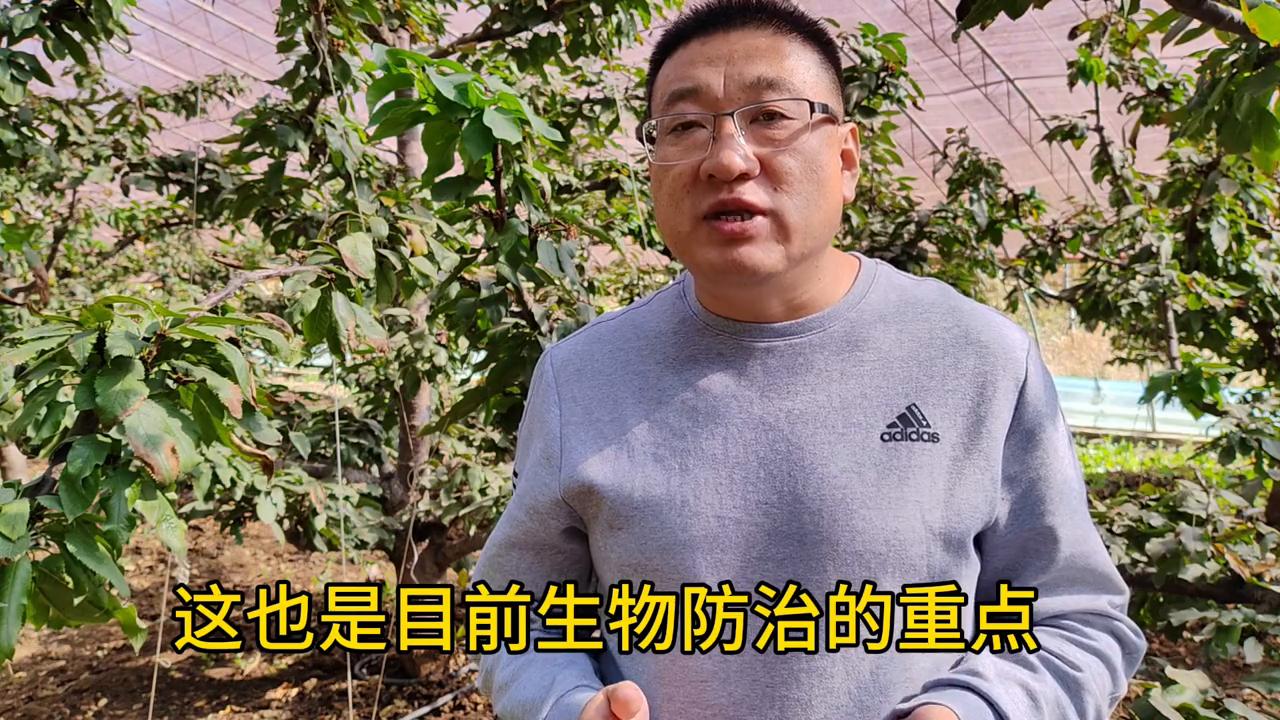 亿农美科土菌净,亿农美科生根菌剂