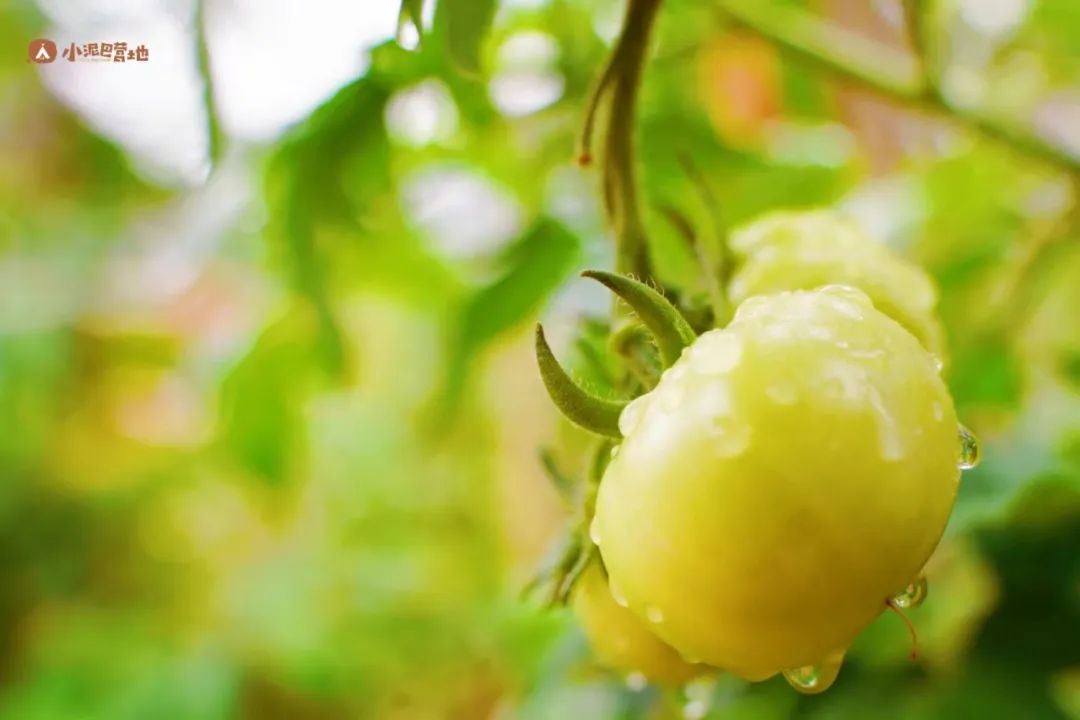 小泥巴营地亲子好去处,周末带孩子露营去哪玩推荐