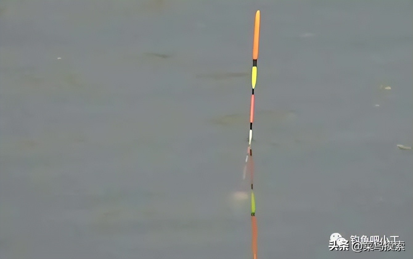 带饵调平水钓二到四目视频,带钩调四目钓二目怎么调