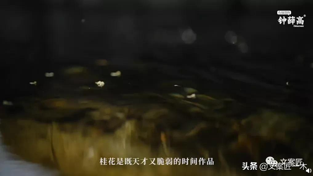 极致温柔的文案治愈,喜欢高级文案干净温柔治愈