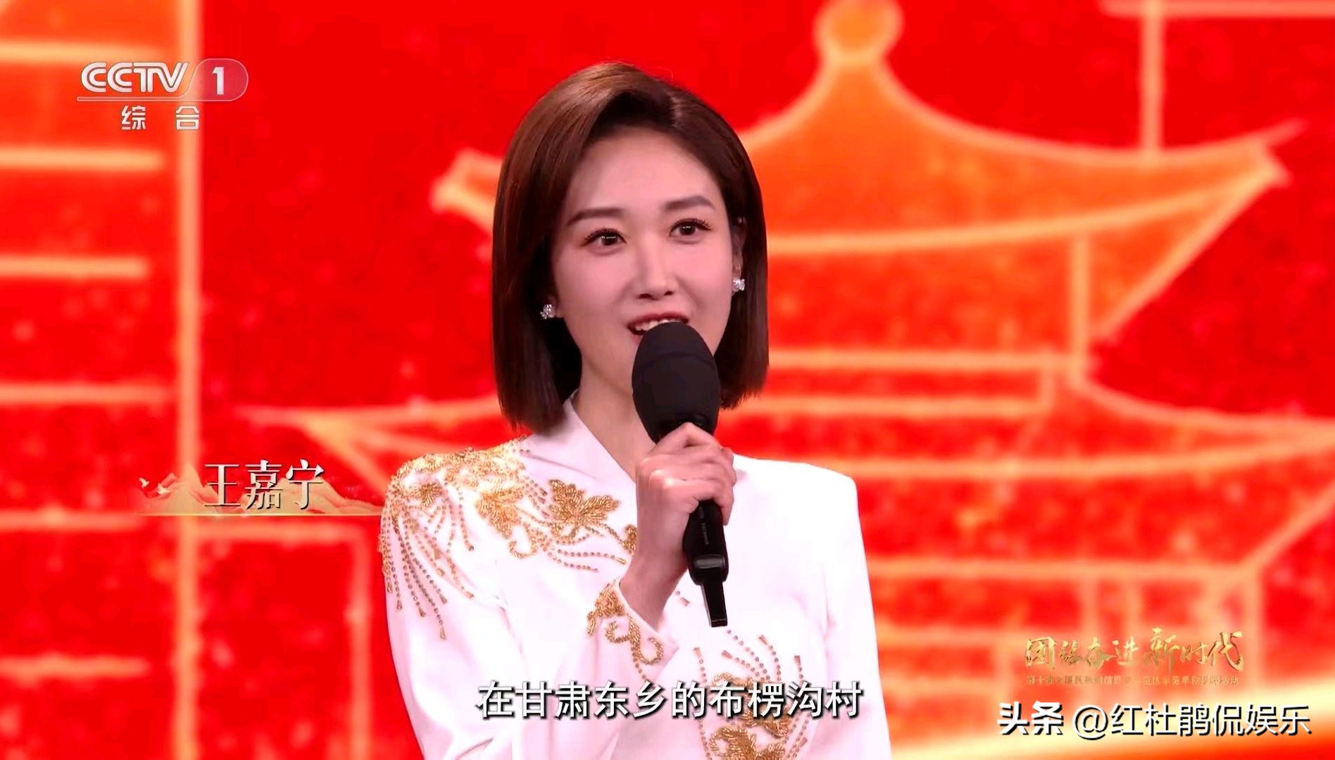 舒冬主持出彩中国人总决赛视频,舒冬龙洋主持节目