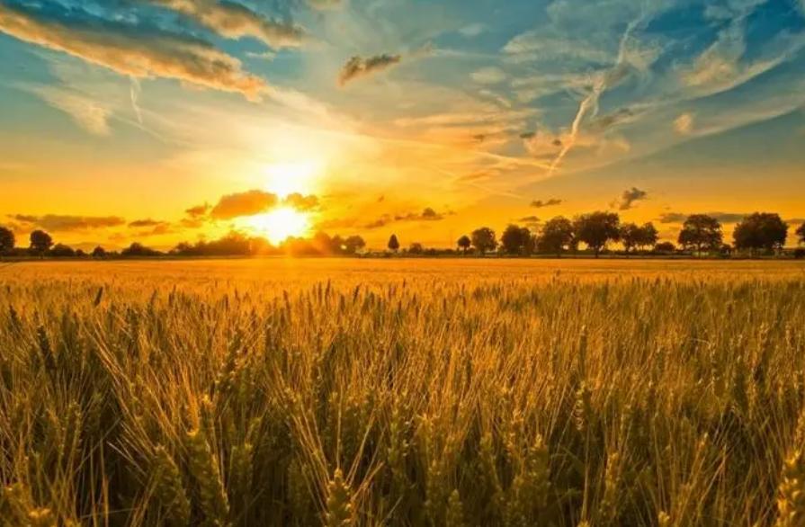 一星期服用一次伟哥会有后遗症吗,一年吃两次伟哥危害大吗