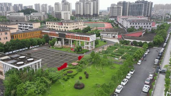 优秀教师张丽莉,优秀教师个人风采宣传美篇