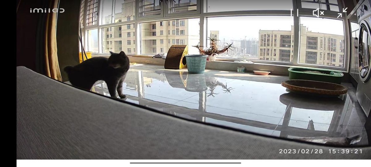 小白智能摄像机y3怎么智能分享,小白智能摄像机云台版y3有开关吗