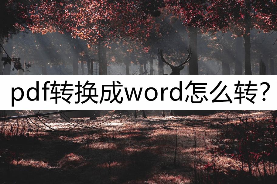 有什么软件能免费将pdf转换成word,wpspdf转换成word格式乱了怎么办