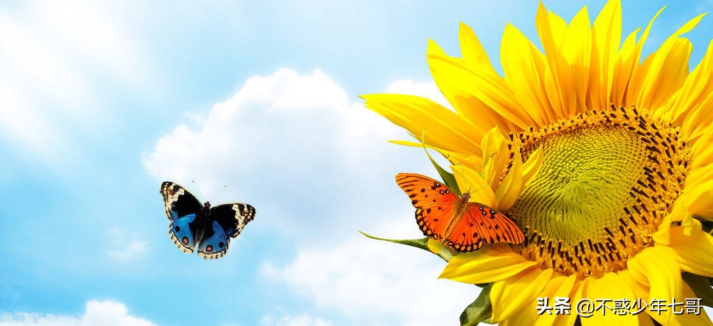 昨天在厂里摔了一跤,在公司摔了一跤几天后查出骨折