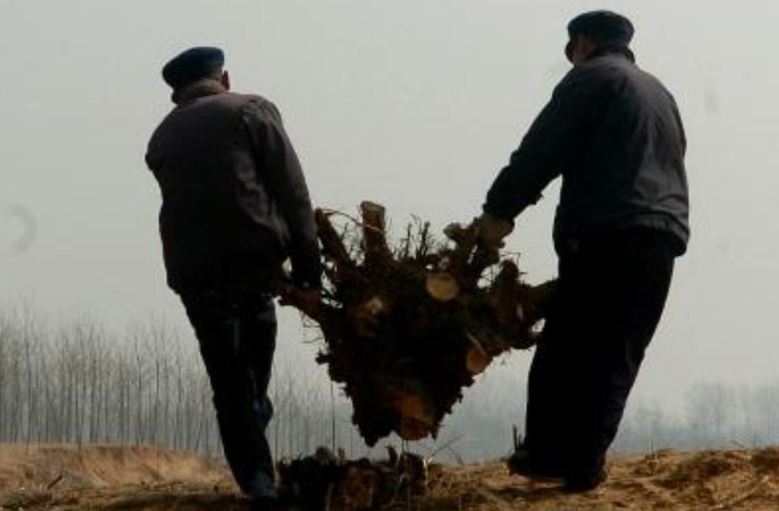 四川老汉挖出250斤人形树根,四川男子挖到人形树根