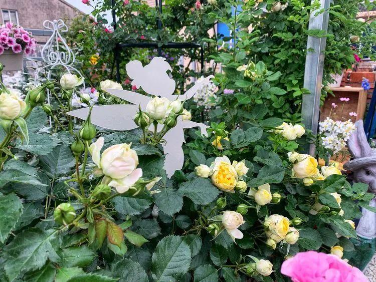 两家共用一个平台怎么解决,两家共用一堵墙发生矛盾怎么处理