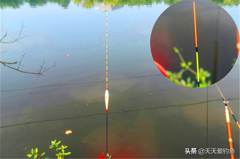 手竿浮钓鲢鳙怎样快速调漂,手竿钓鲢鳙浮漂怎么调深度