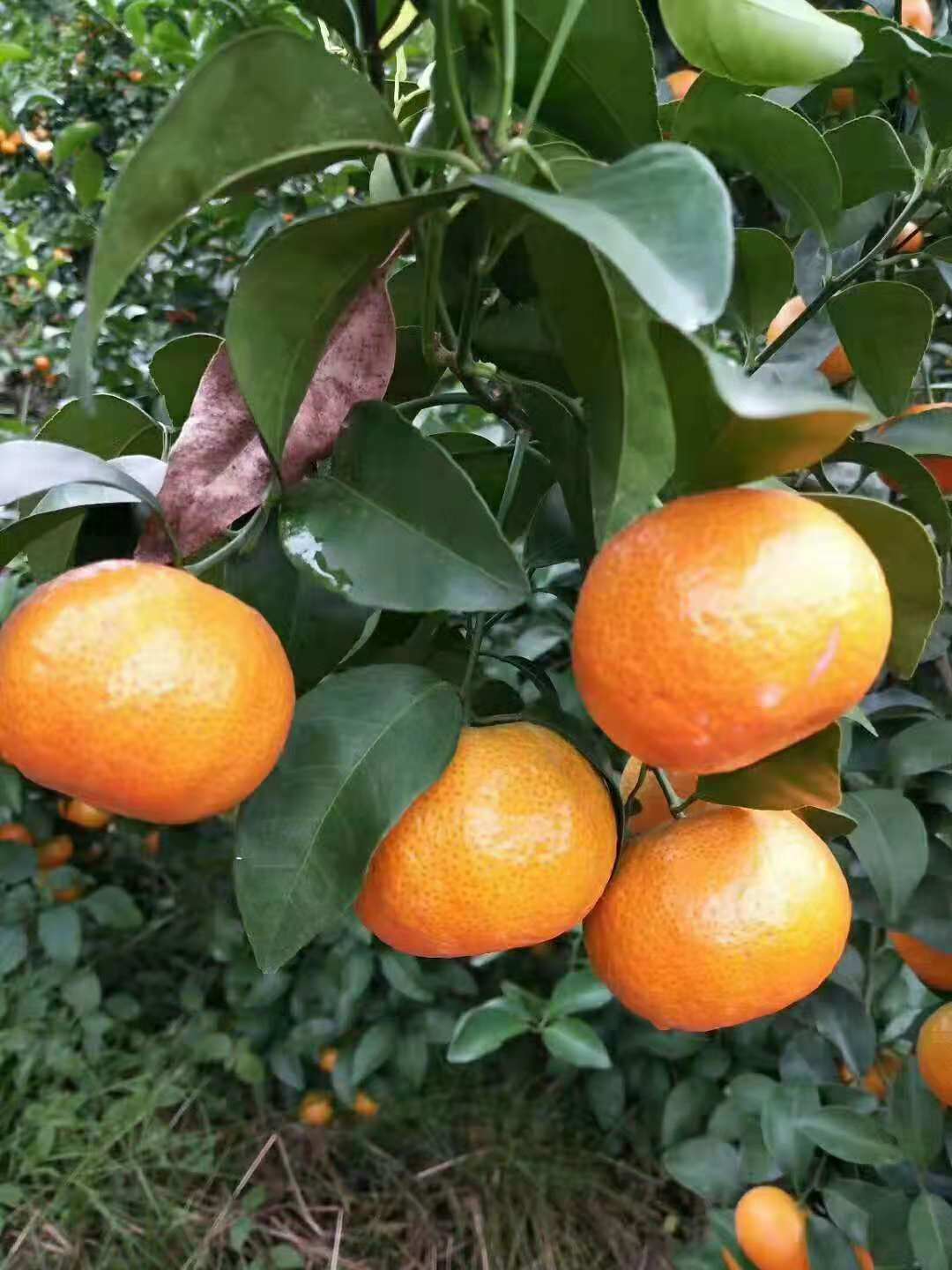 行业不景气怎么办,行业不景气如何创业