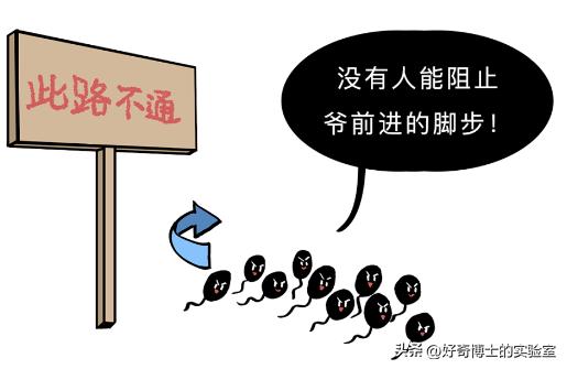 为了延长时间，同房时忍着不射有用吗？对身体会造成哪些影响？