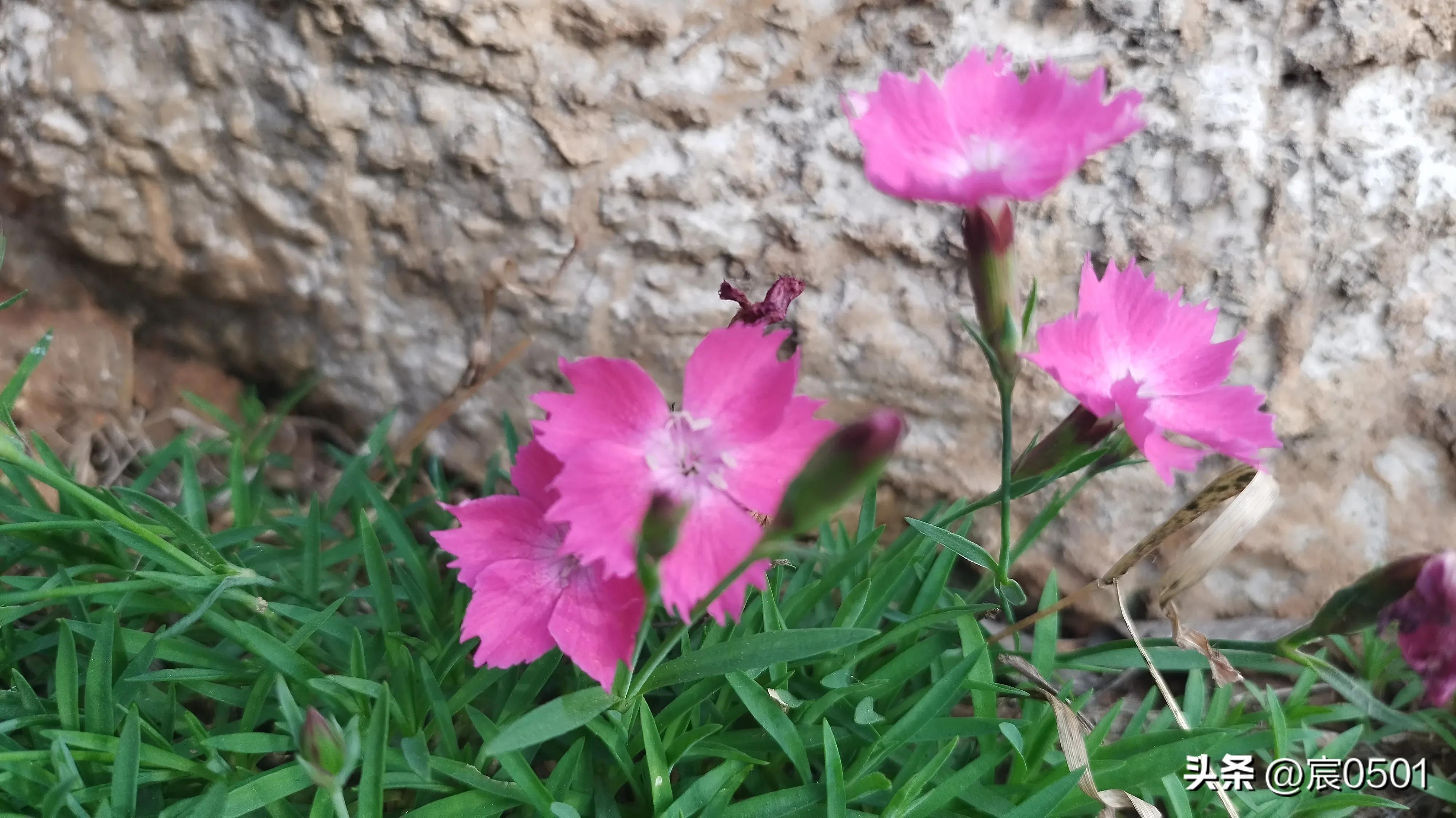 他月挣3600，给儿子还房贷2400，儿媳：孩子上兴趣班每月1200