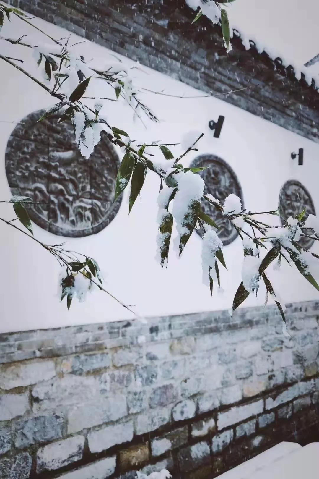 山东济南周边农家院民宿,济南竟然还有这么有情调的民宿