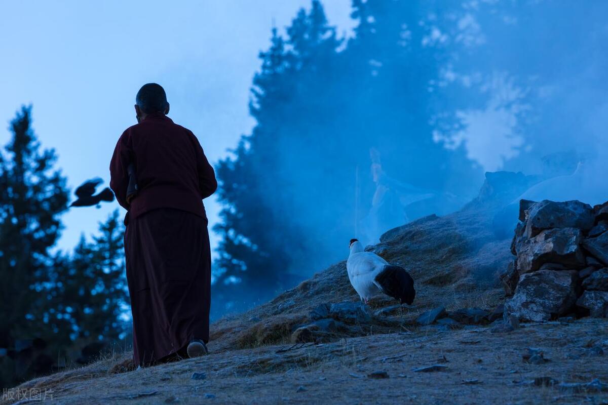 如何应对学习中的挫折和困难,面对挫折和困难我们应该如何应对