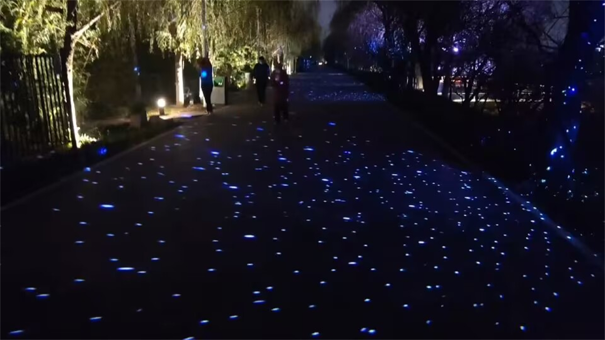 西安人工湿地公园,西安最好的湿地公园