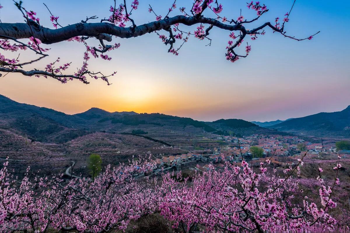 描写山的古诗名句大全,描写山的唯美古诗句