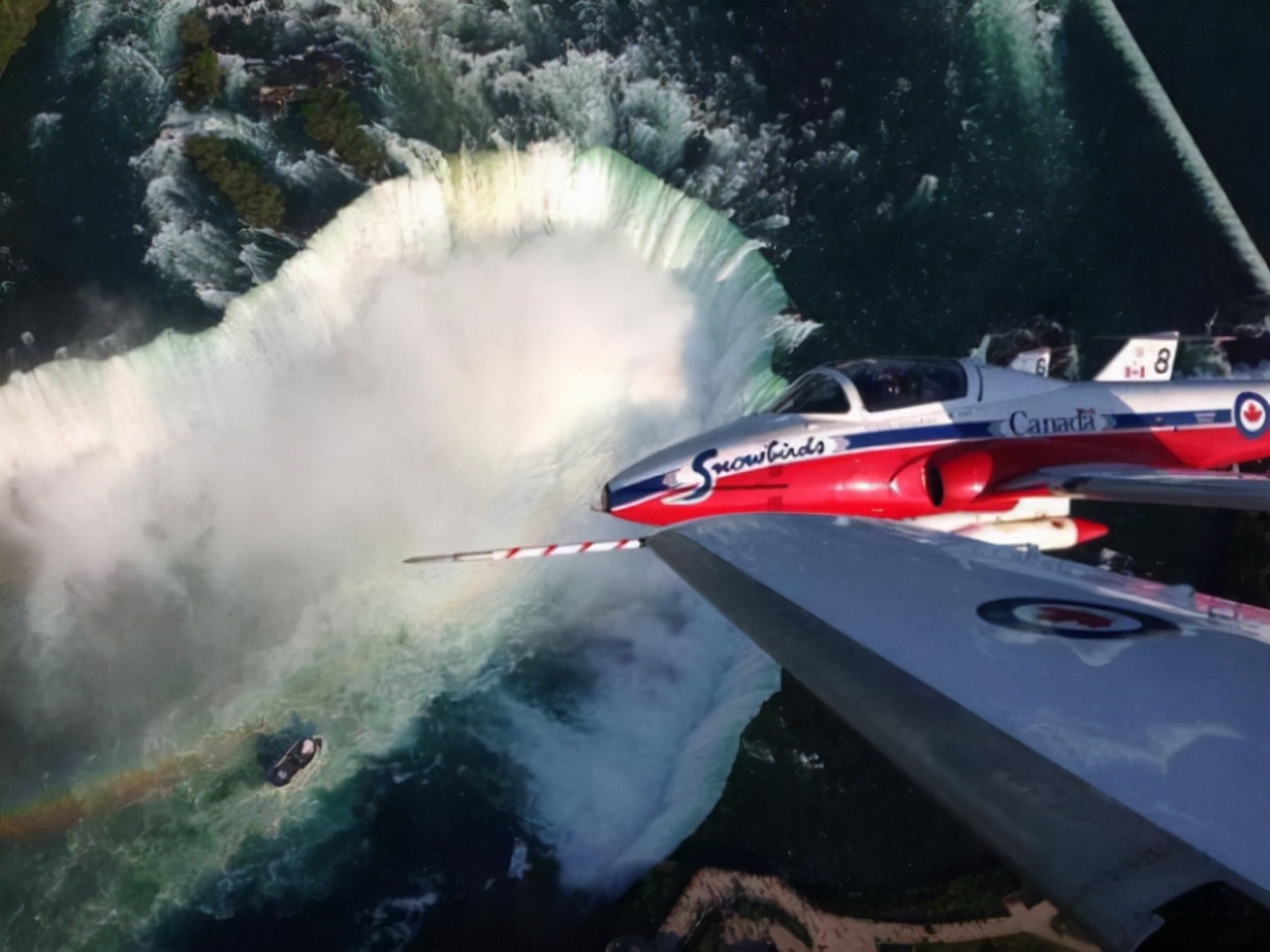 世界上最壮的牛照片,世界最壮的牛图片