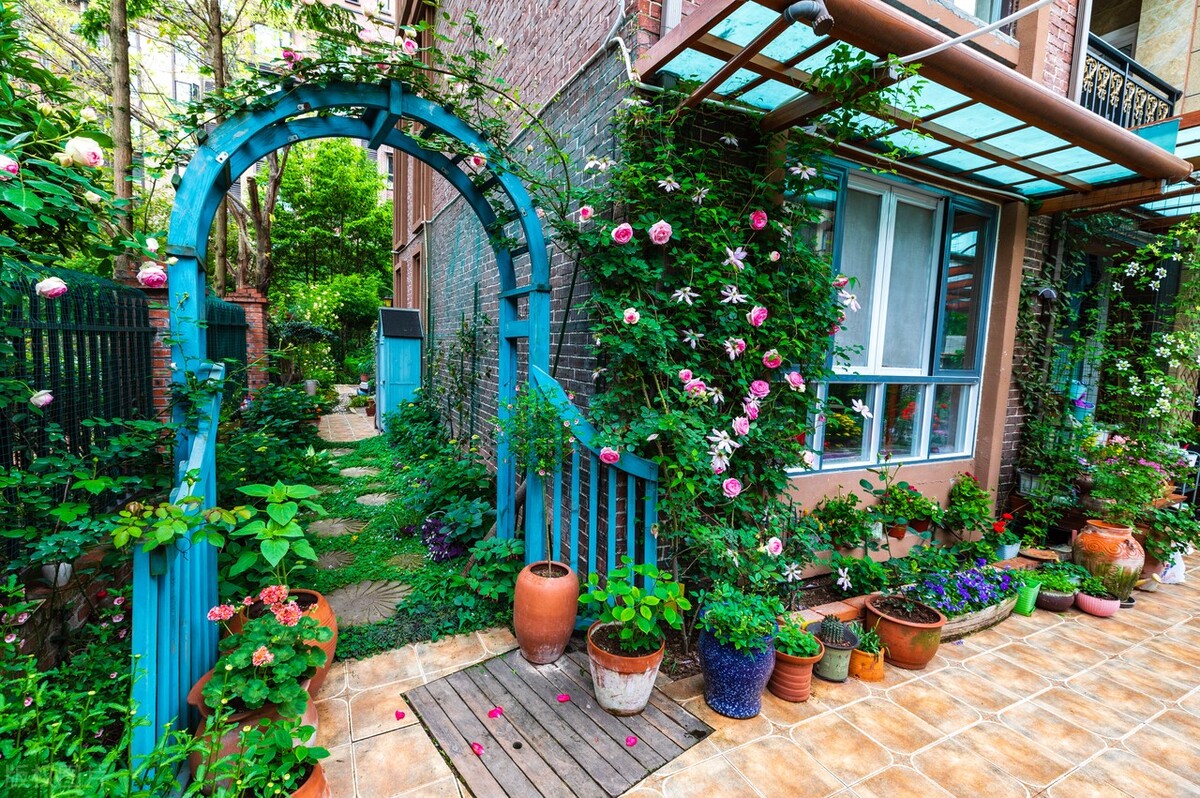 室外冻不死的十种花草,零下30度冻不死的露台植物