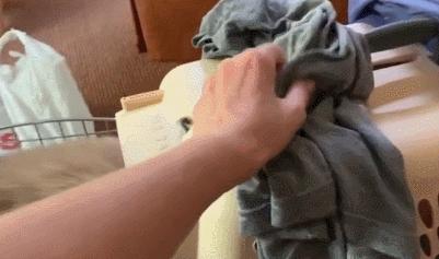 猫咪吃饭的十大怪癖 (猫咪的七大怪癖喵了个咪)