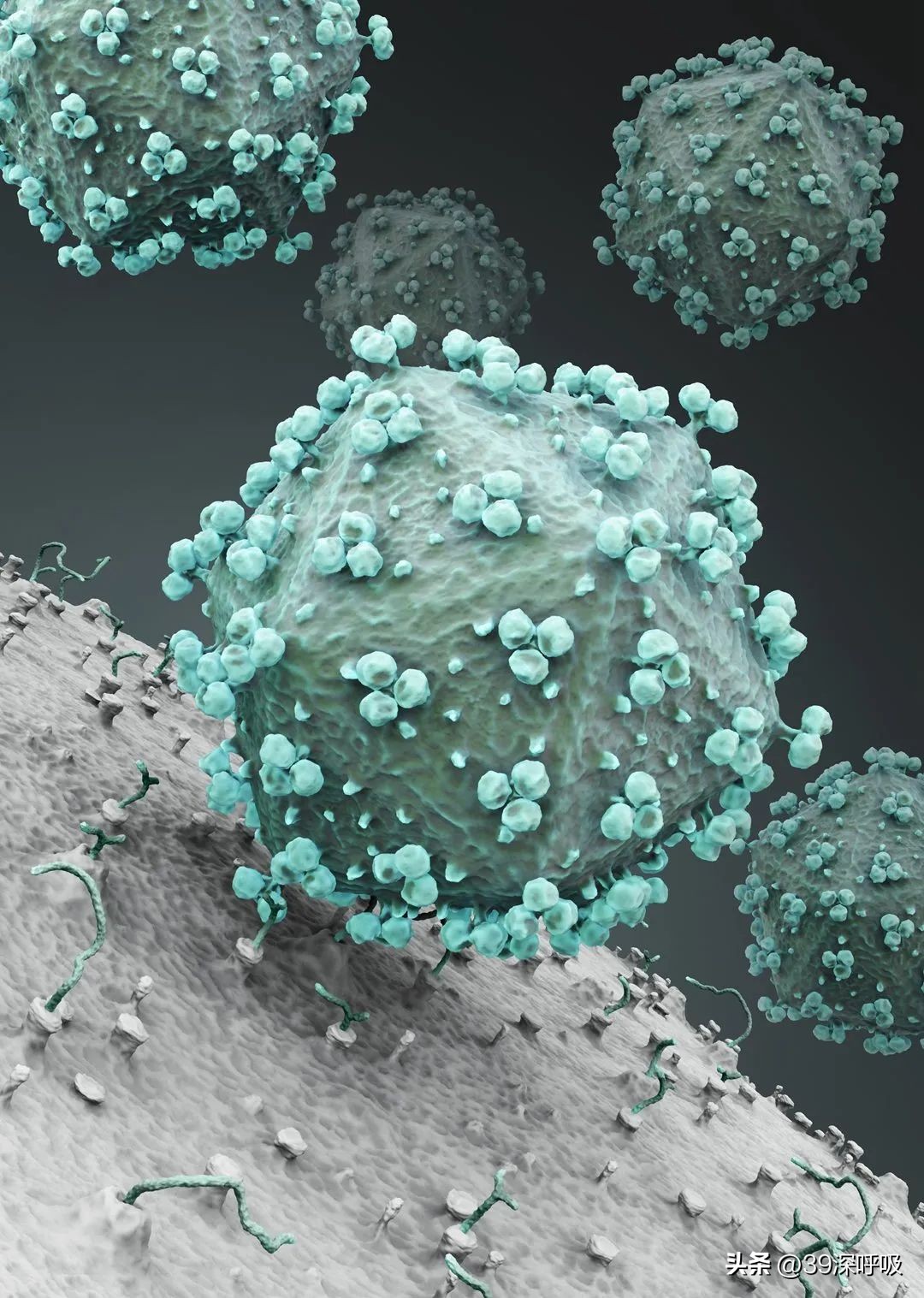 全球5位艾滋病痊愈患者,未来几年艾滋病有希望被治愈吗