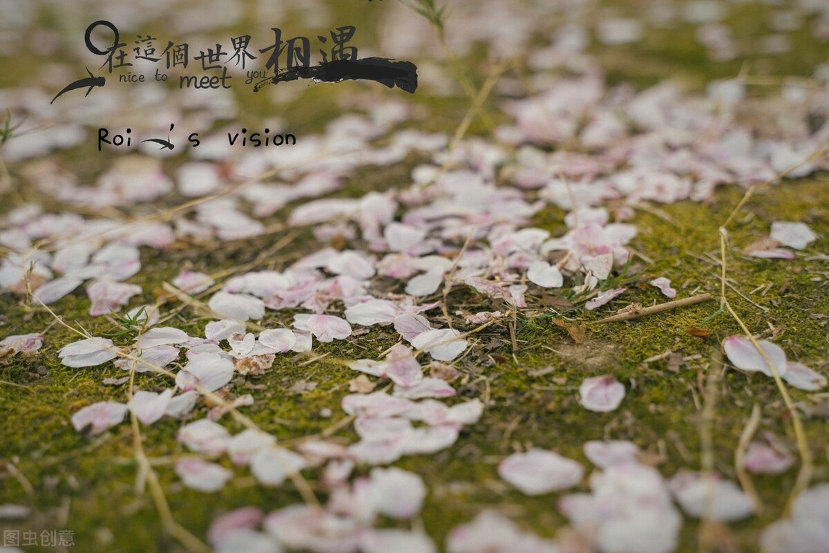 时光荏苒岁月如梭的拼音,时光荏苒岁月如梭完整的歌