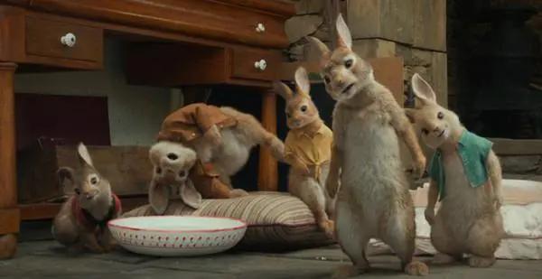 比得兔的故事书适合多大孩子看,比得兔儿童文学