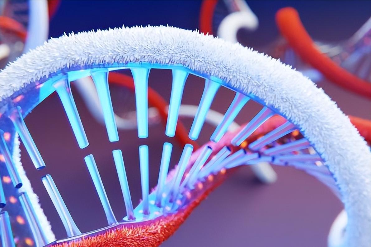 基因组学应用于癌症治疗,基因组学在育种的应用