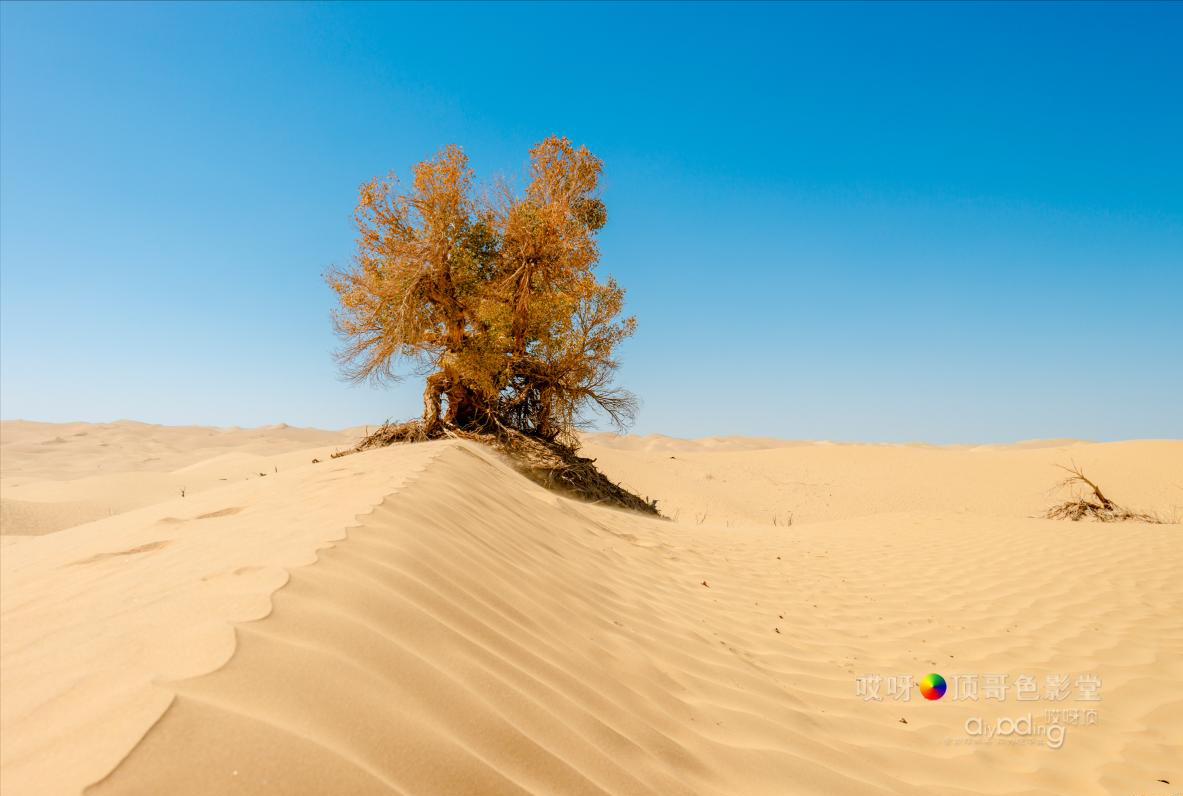 女司机带娃去新疆自驾游,带着女司机自驾游兰州