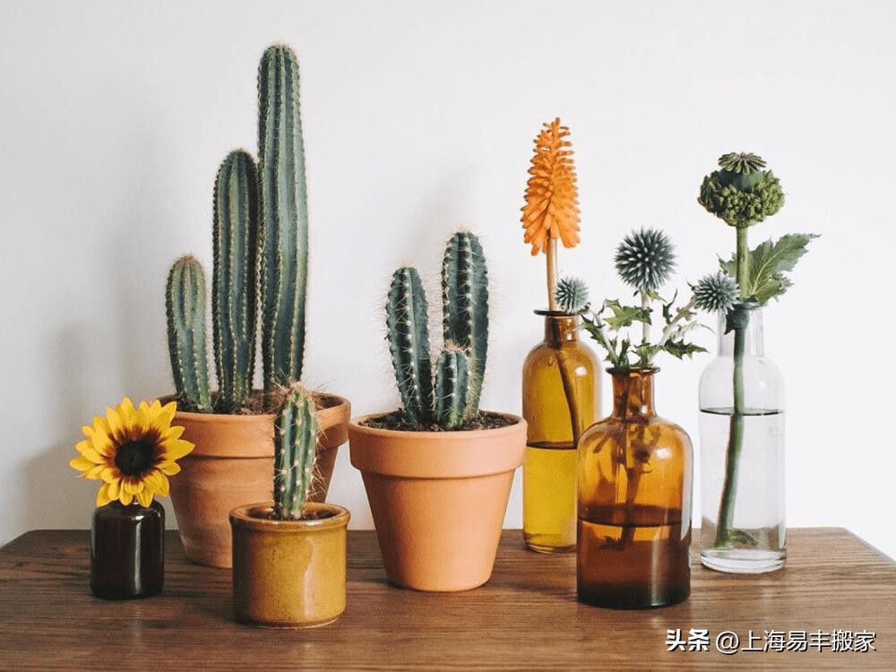 乔迁新居送什么礼物最有价值,乔迁新居送什么礼物比较好实用