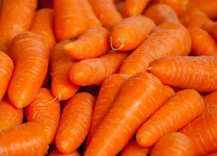 身体免疫力极强的人六大表现,身体免疫力好的表现