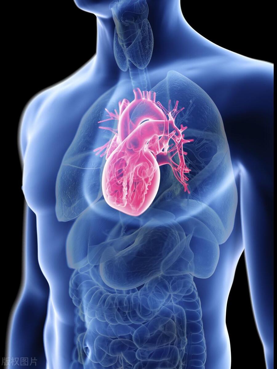 70岁公公每天吃孙子的蛋*粉白**，是营养品还是心血管杀手？一文说清