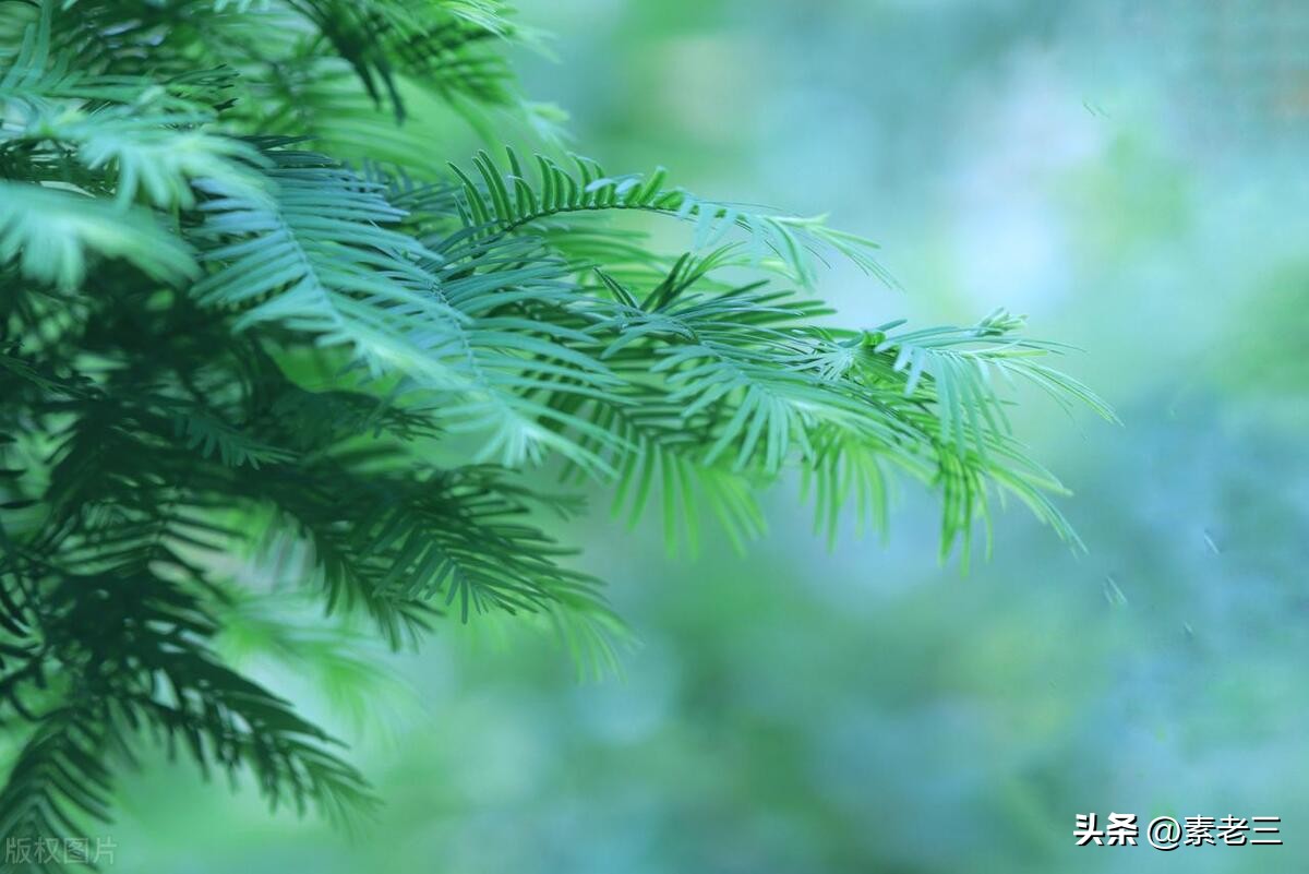 女作家去做保姆740集,女作家去做保姆最新篇418