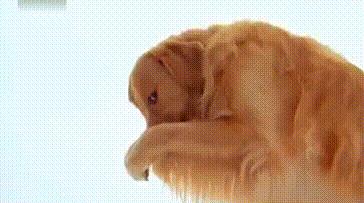 手机充电太慢怎么办vivo,安卓手机充电太慢怎么办