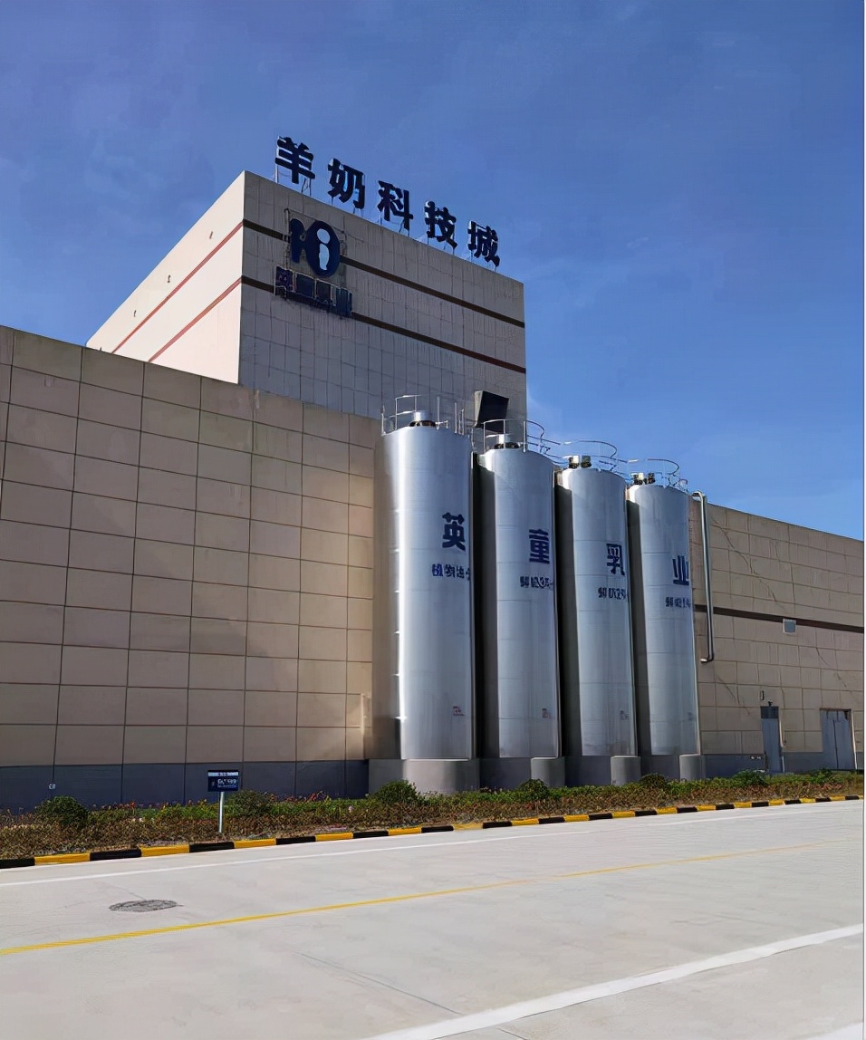 张鸽,张鸽羊奶霜怎么样