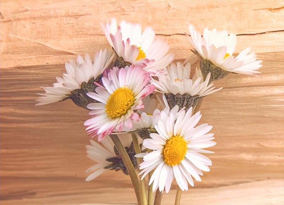 没有爱情的婚姻里，请抓住三根救命稻草