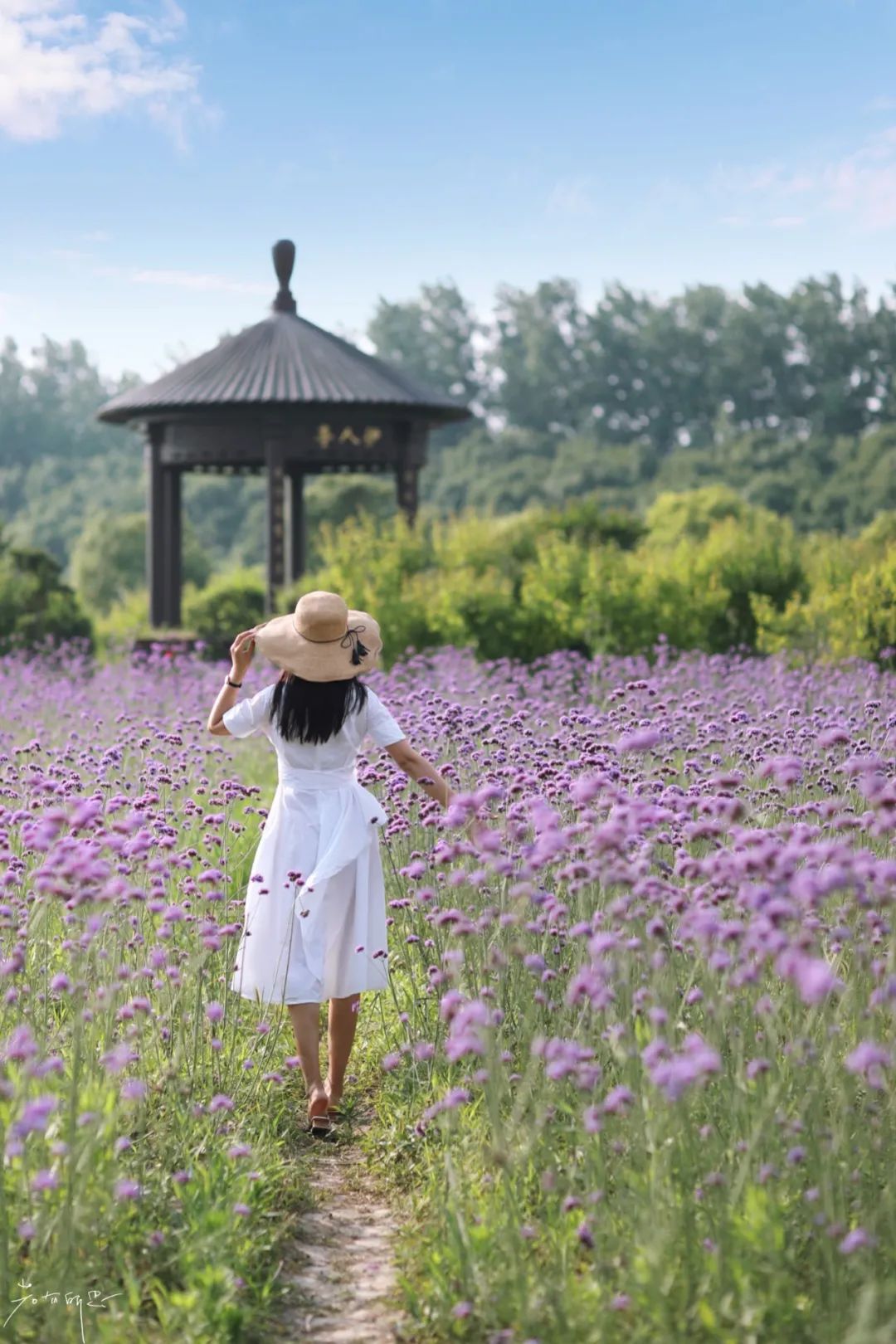 春来夏往，秋收冬藏，带你感受沙家浜的四季，别错过身边的美好