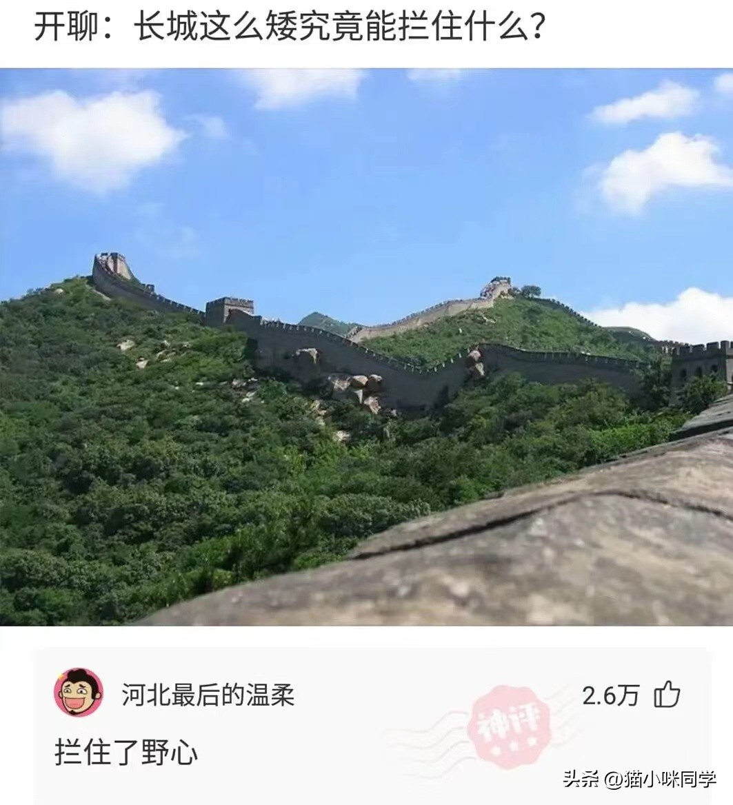 哈哈笑抽了，现在全网都知道他被绿了，网友：头上顶着青青草原