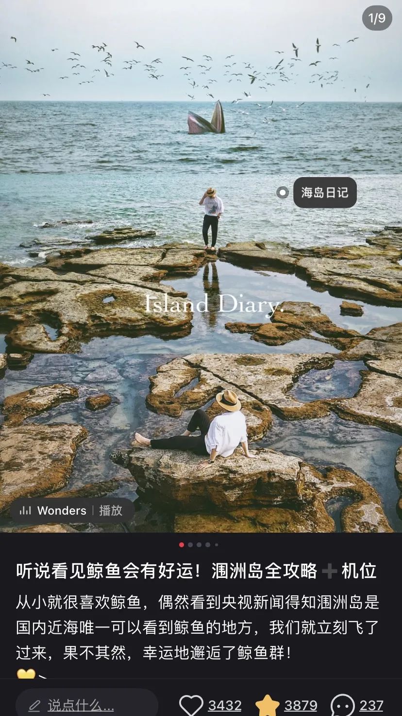 这座岛究竟有何神奇之处,怎么玩海陵岛不踩坑