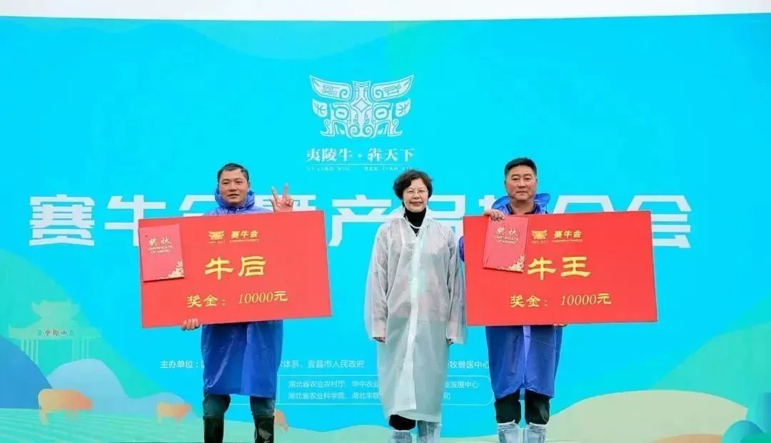 枝江肉牛产业发展,中国肉牛产业规划