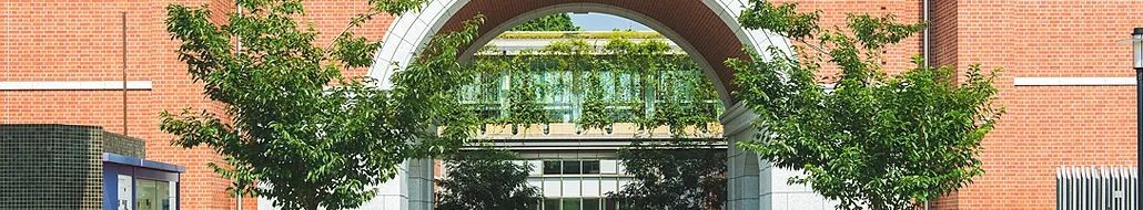 日本大学留学新政策,日本大学留学专业一览表