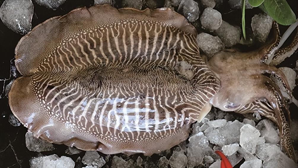 泊来鲜加盟靠谱吗,连锁鲜活海鲜品牌加盟