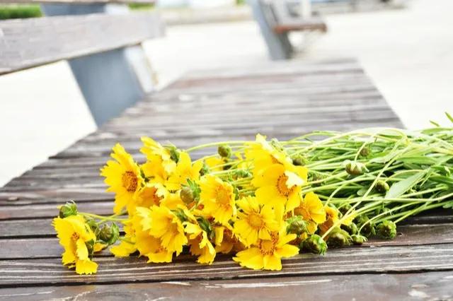 送礼的禁忌和注意事项,中国人送礼讲究和禁忌