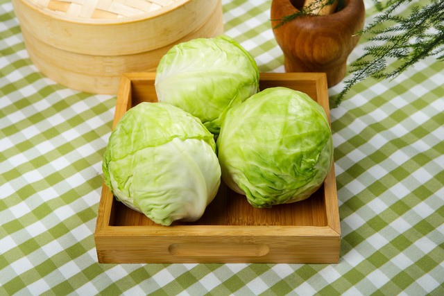 大白菜乳酸菌发酵,白甘蓝与紫甘蓝